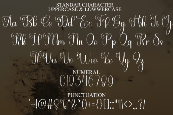 Gastonia Calligraphy Font - Preview 6