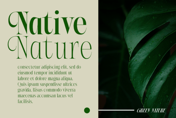 Paskalara Font font preview - 2
