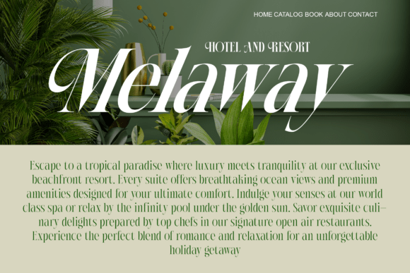 Paskalara Font font preview - 4