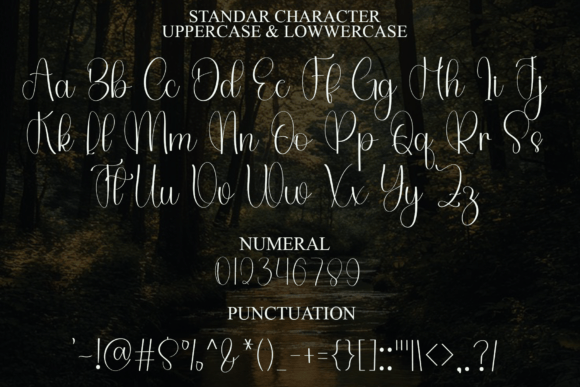 Autography Christmas Font - Preview 6