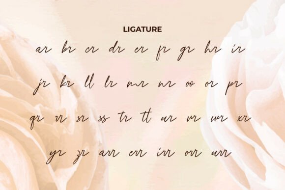 Danella Jasmine Font - Preview 6