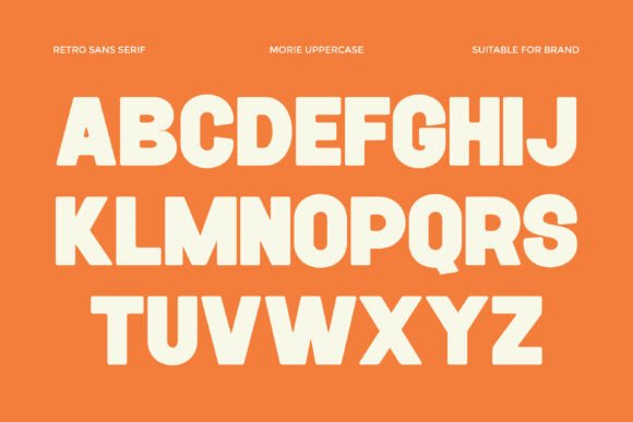 Grizo Sans Font - Preview 6
