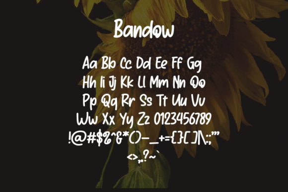 Bandow Font - Preview 1