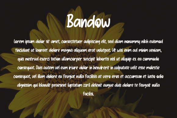 Bandow Font - Preview 2