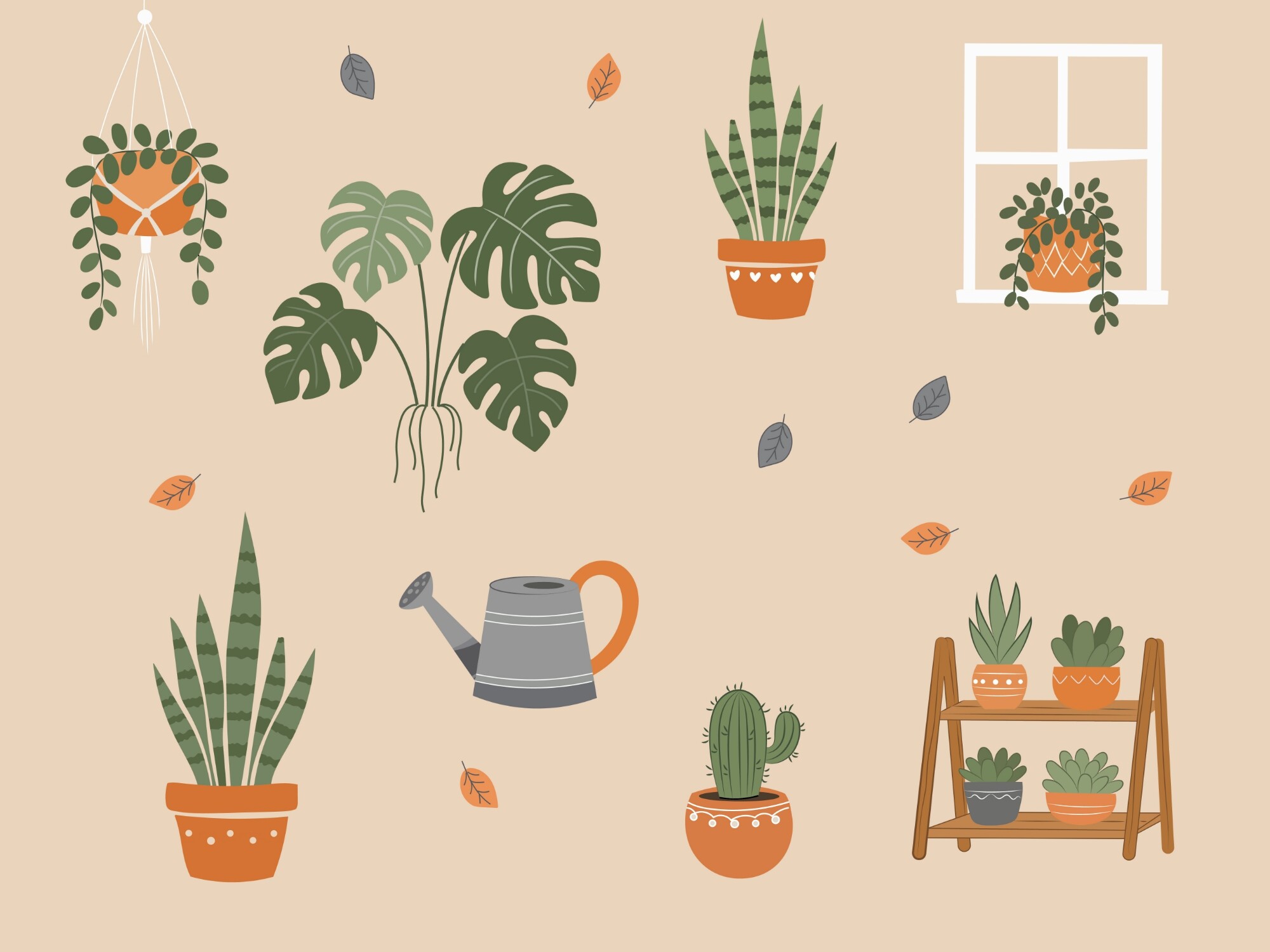 Indoor Plants Home Decor Illustration Se