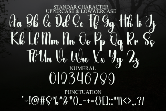 Sentimental Journal Font PNG with transparent background - Preview 6