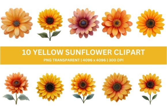 10 Golden Watercolor Sunflower Clipart