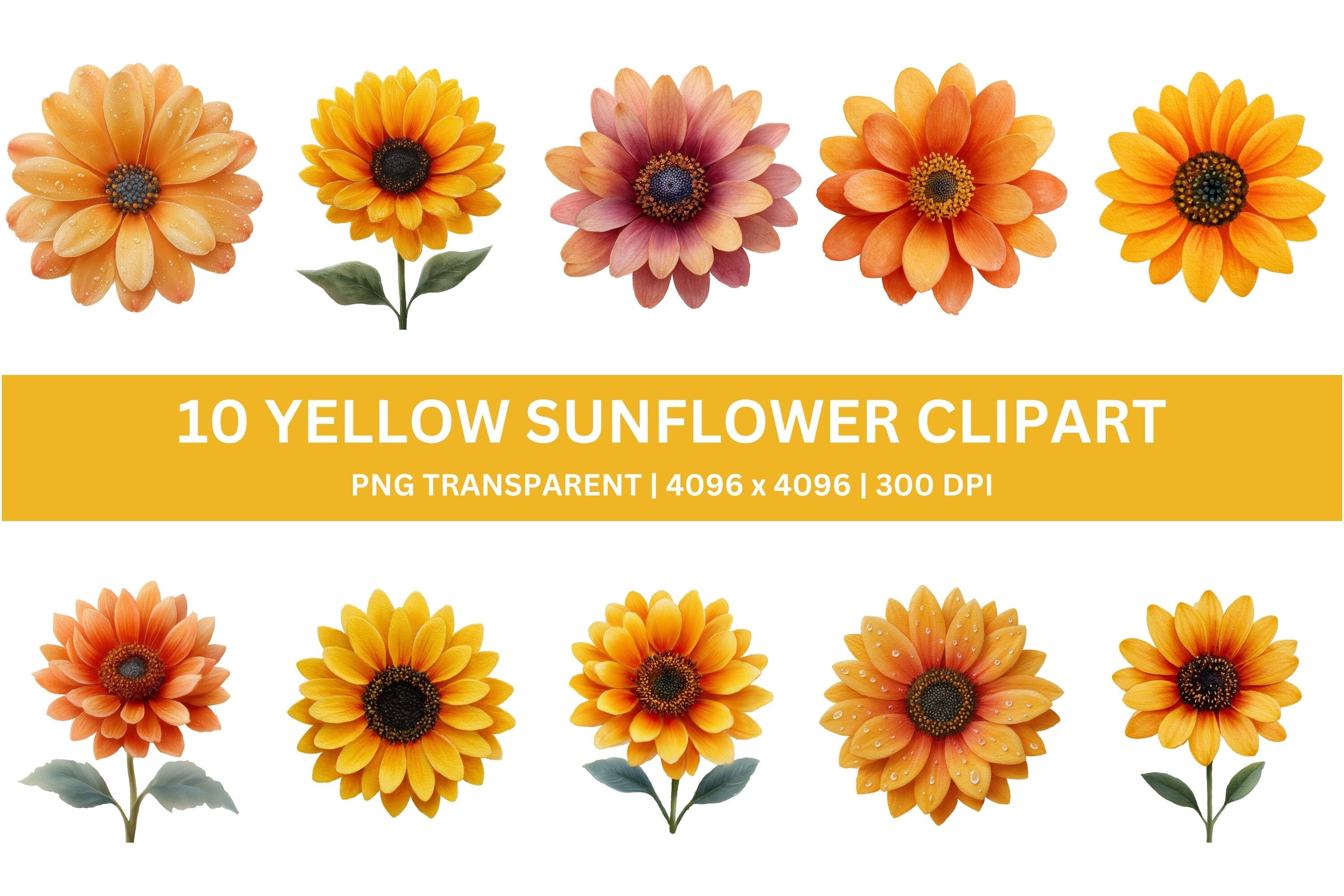 10 Golden Watercolor Sunflower Clipart