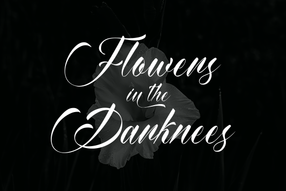 Amyhas Font - Preview 2