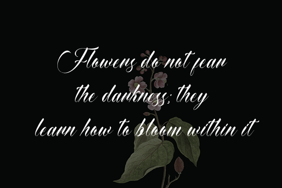 Amyhas Font - Preview 3