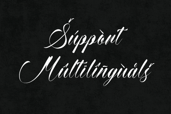 Amyhas Font - Preview 6