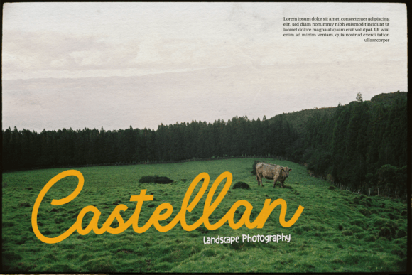 Averty Meadow Font PNG with transparent background - Preview 2