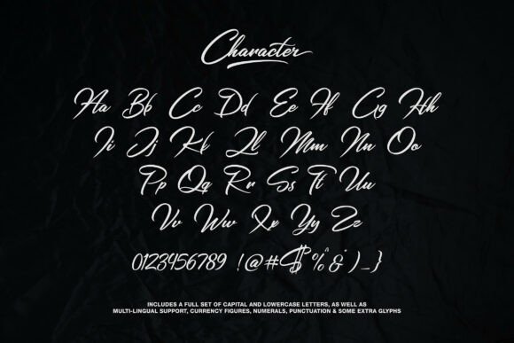 Chandy Signature Font - Preview 2