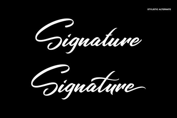 Chandy Signature Font - Preview 4