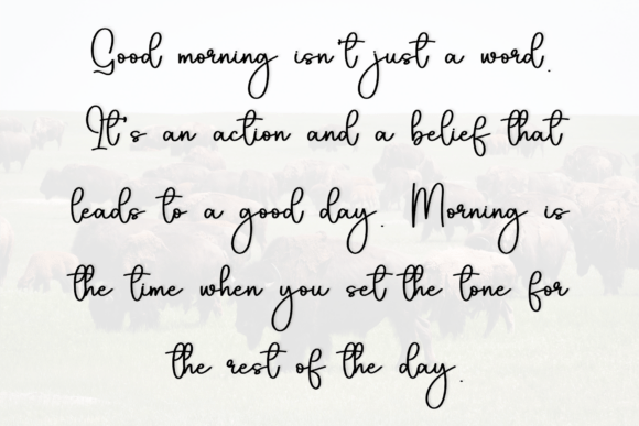 Buffalo Font - Preview 6