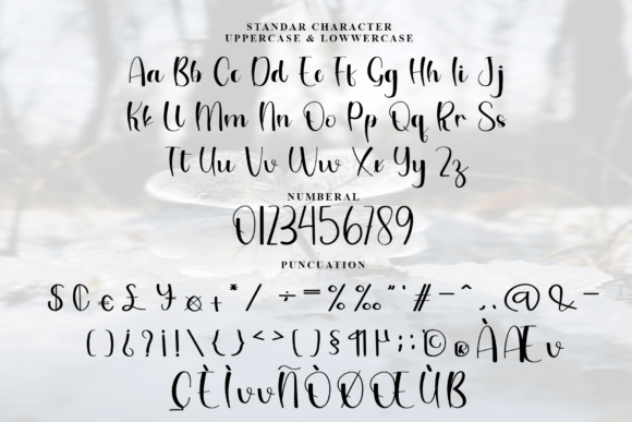 Amsterdam Font - Preview 5