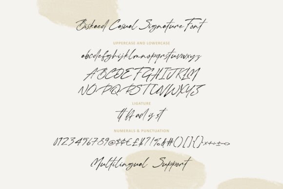 Biskaed Signature Font - Preview 4