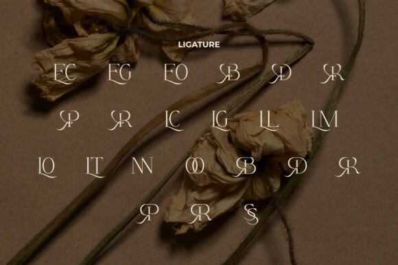 Arphine Dalton Font - Preview 6