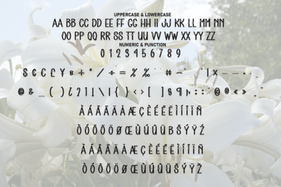 Lily White Font PNG with transparent background - Preview 6
