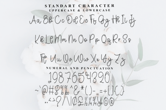Alice Font - Preview 4