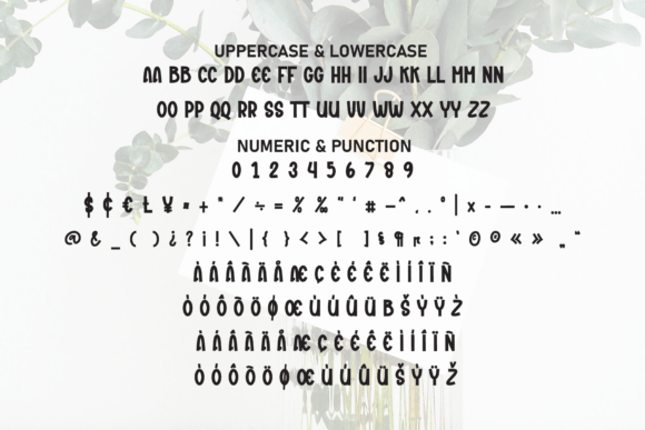 Book Nothing Font - Preview 6