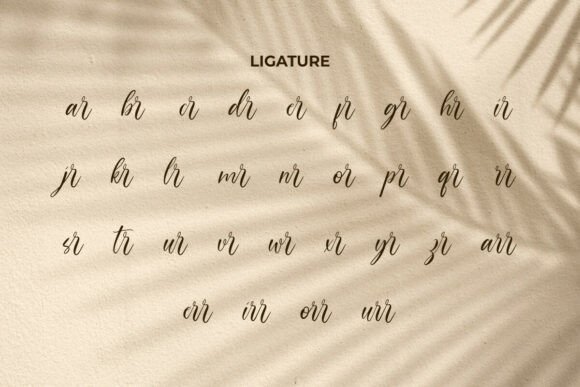 James Delight Font PNG with transparent background - Preview 6