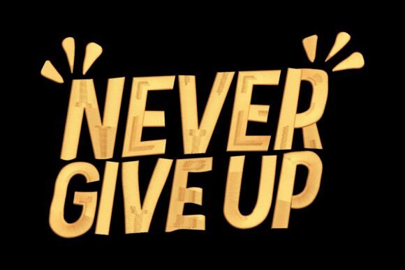 Never Give Up