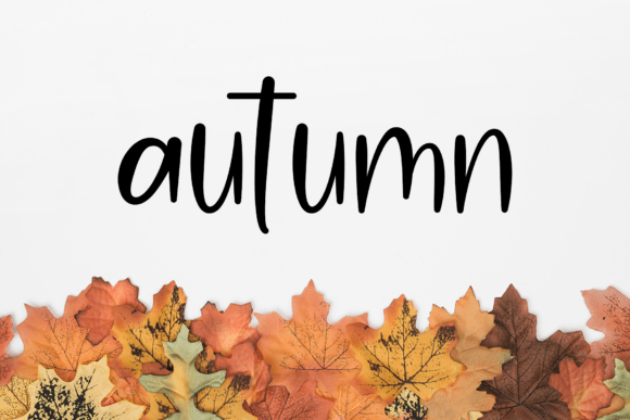 Calligraphy Font - Preview 4