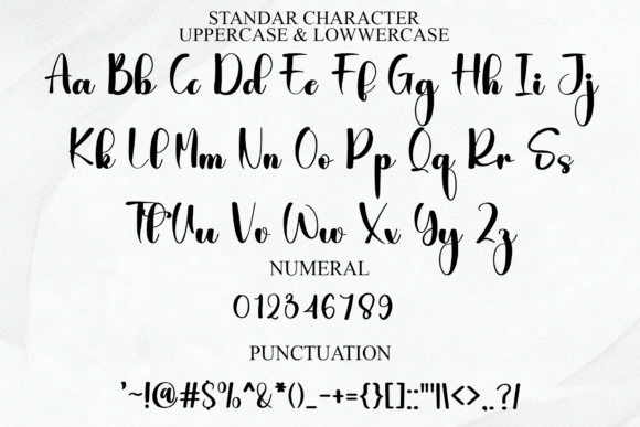 Charlote Handwritting Font - Preview 6