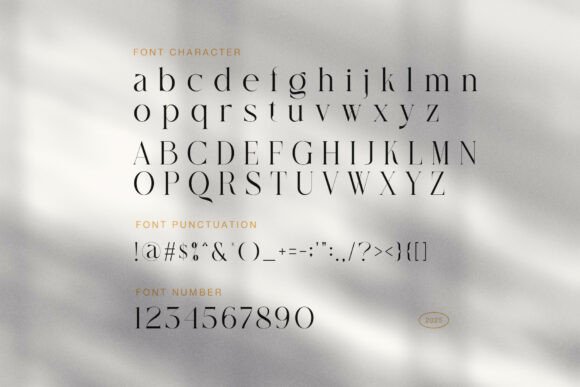 Galista Font - Preview 6