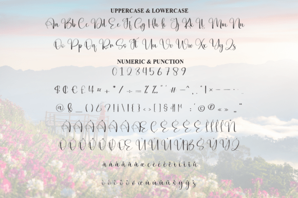 Beautiful Font - Preview 6