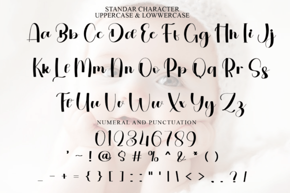 Elegant Wonderful Font - Preview 3