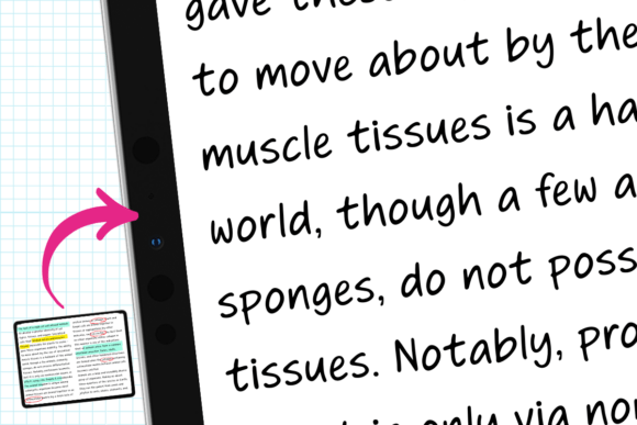 Buddy Script Font - Preview 5