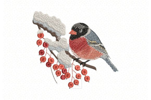 Bullfinch on Rowan