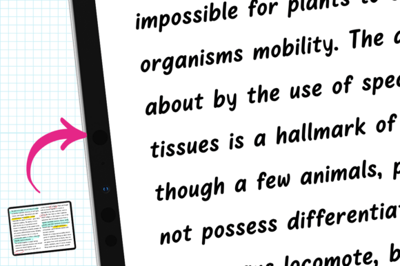 Daily Bloom Font PNG with transparent background - Preview 5