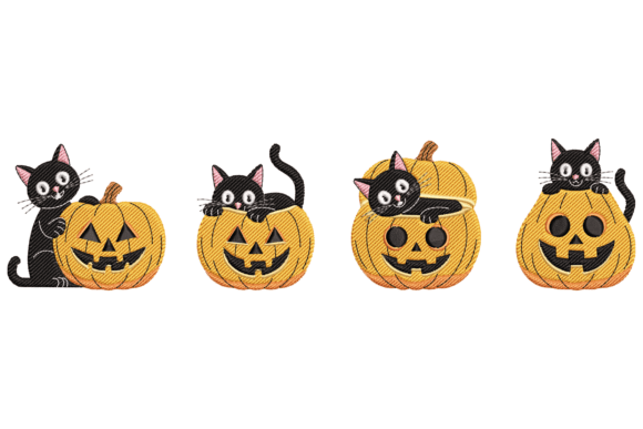 Black Cat Pumpkin
