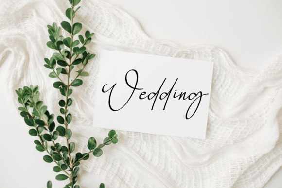 Angelica Signature Font - Preview 4