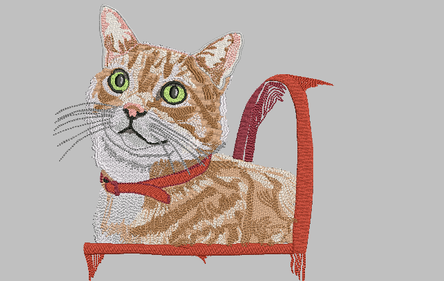 Cat in Basket