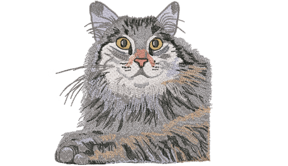Cat on the Table
