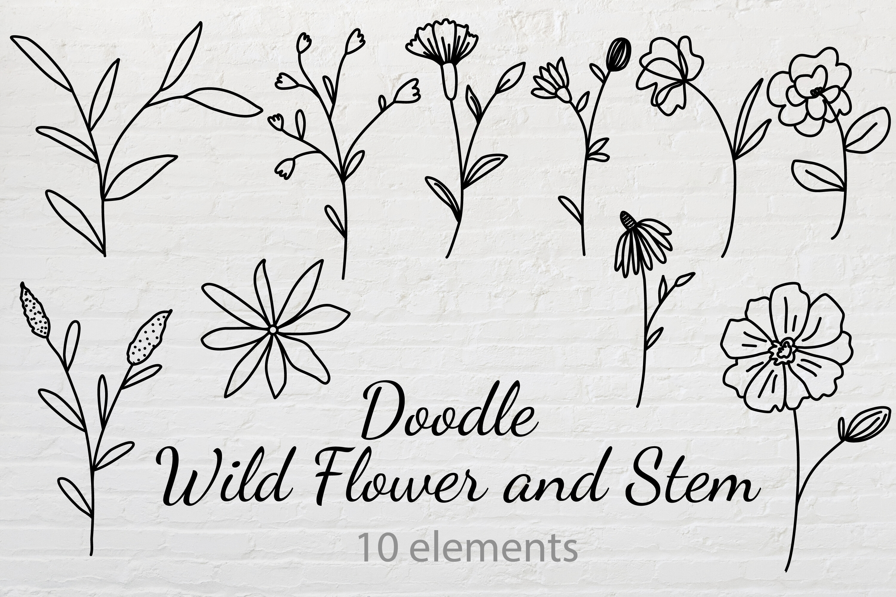 Doodle Wild Flower and Stem SVG | Floral