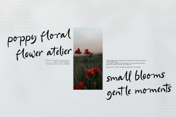 Ferdan Ligate Font - Preview 1