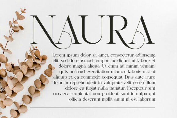 Raisa Font PNG with transparent background - Preview 3