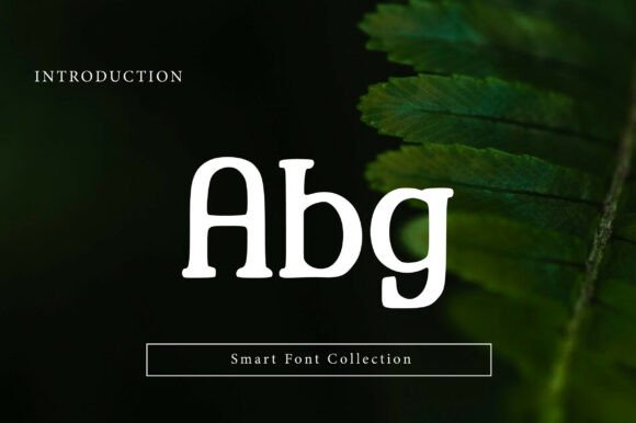 Rosetica Slab Font PNG with transparent background - Preview 1
