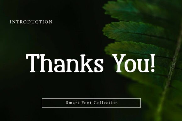 Rosetica Slab Font PNG with transparent background - Preview 2