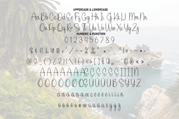 Catalina Font - Preview 6