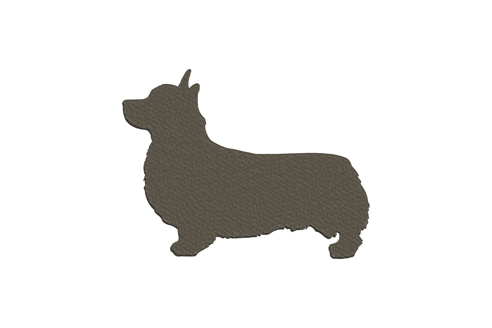 Corgi Dog