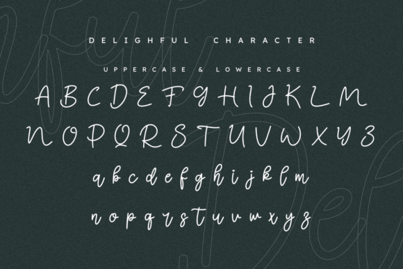 Delighful Font - Preview 1