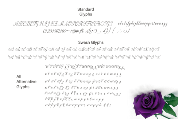 Fameliya Font PNG with transparent background - Preview 4