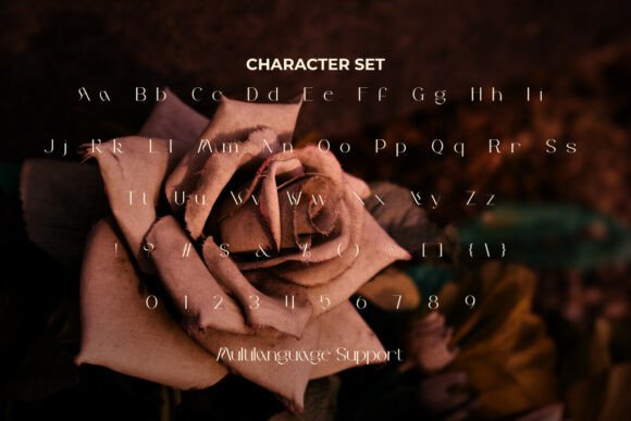 Leshila Font PNG with transparent background - Preview 3