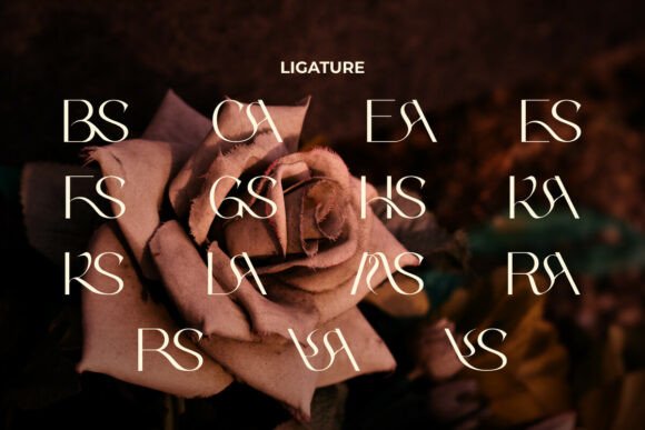 Leshila Font PNG with transparent background - Preview 5